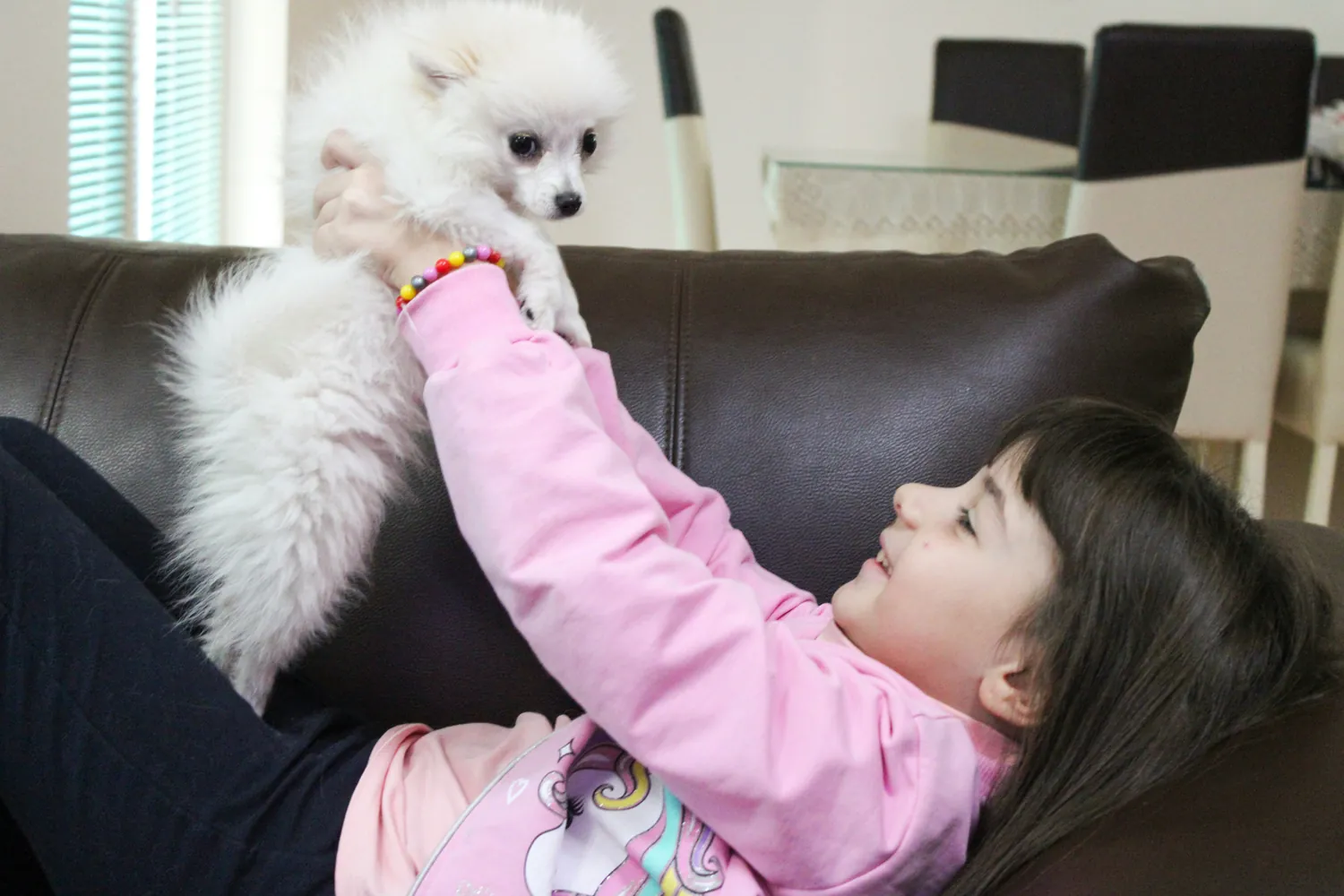 Impact of Emotional Support Pets on Children’s Well-Being and Custody Rights